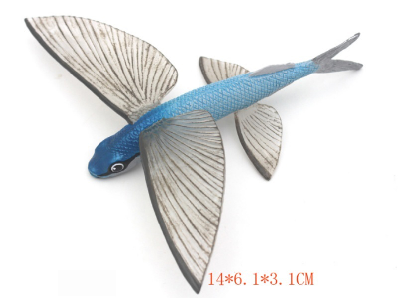 Flying Fish