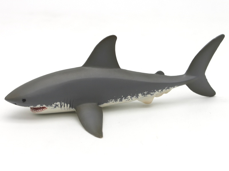 Great White Shark