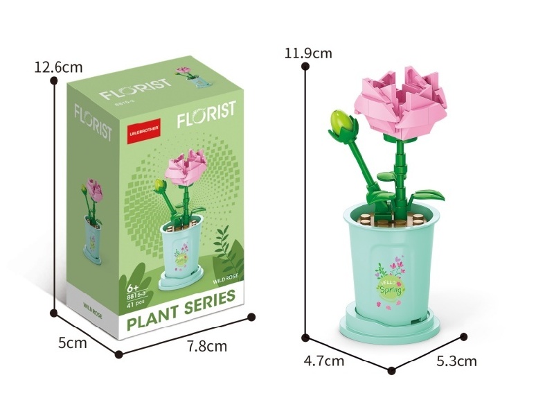 Jingzhe Rose 41 Pcs