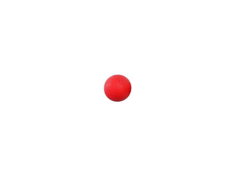 Solid Ball Pet Toys