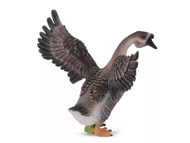 Male Goose
