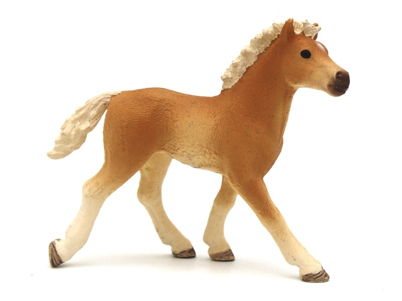 Haverin Pony
