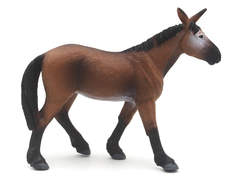 The Donkey