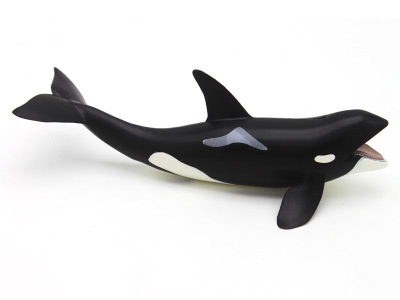 Orca