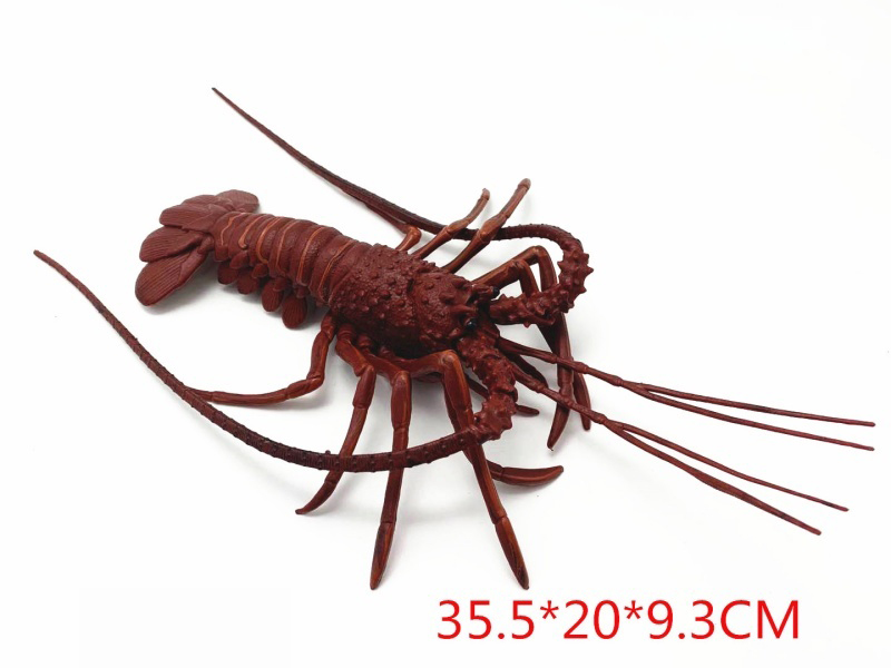 Lobster