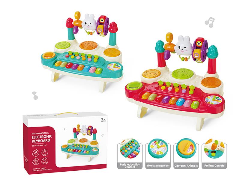 Multifunctional Electronic Organ