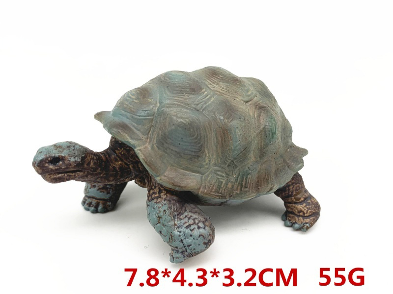 New Tortoise