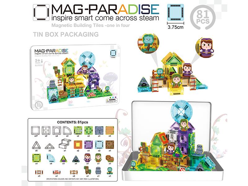 Magic World Mini Magnetic Building Blocks 81PCS