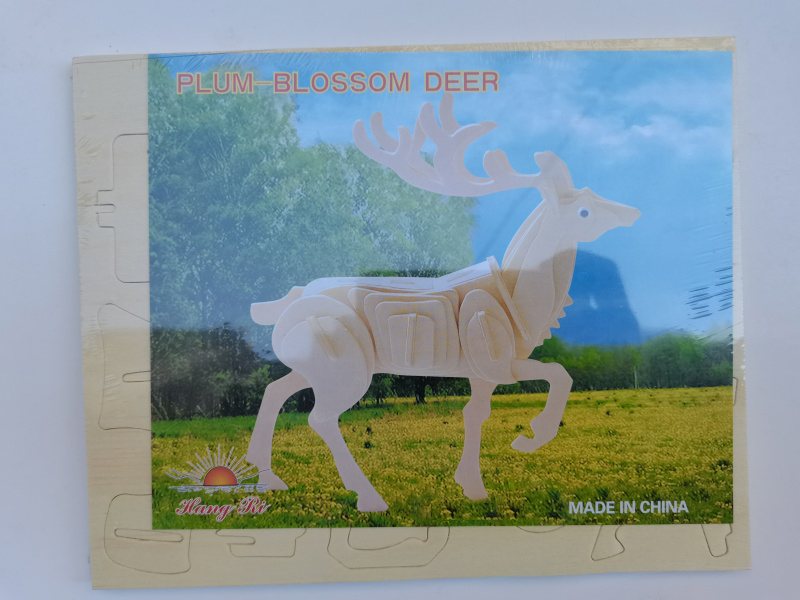 3D Wooden Puzzle