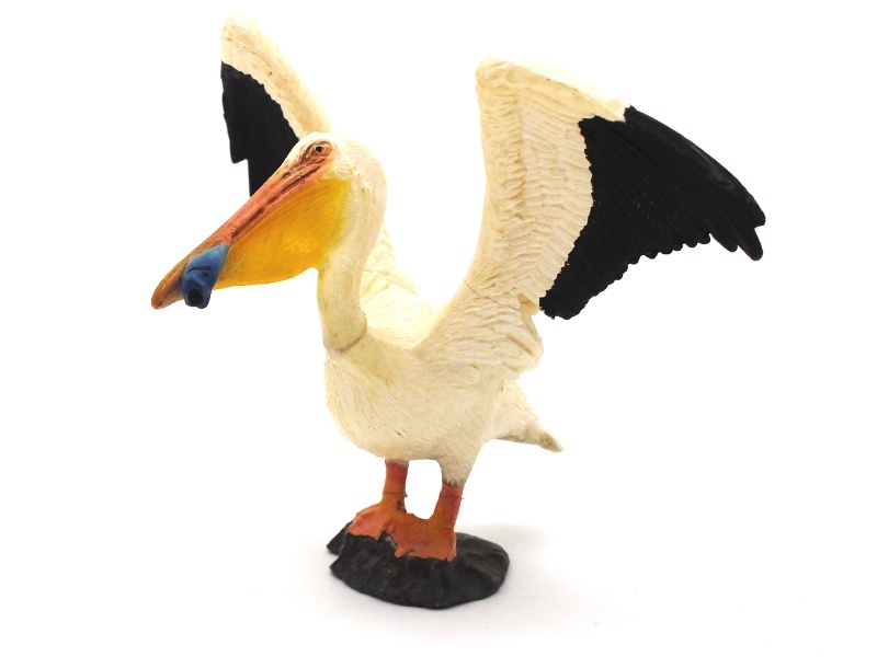 Pelican Catching Fish