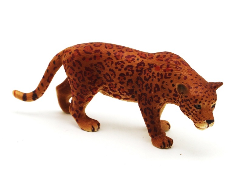 Male Jaguar