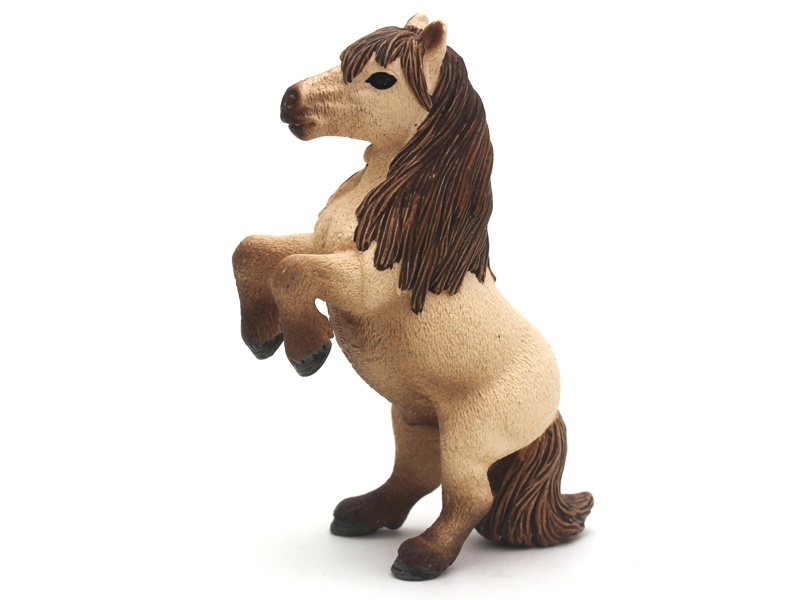 Mini Shedi Stallion