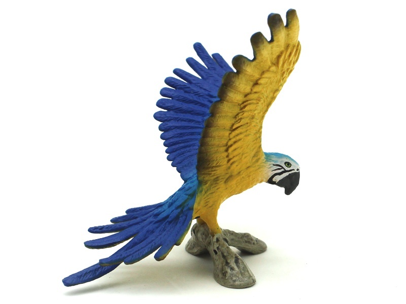 Macaw