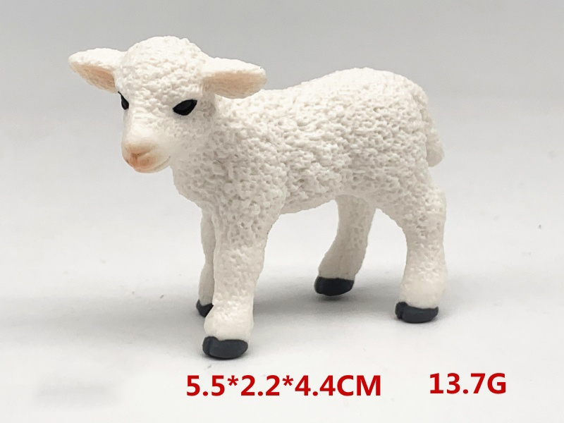 Little Sheep