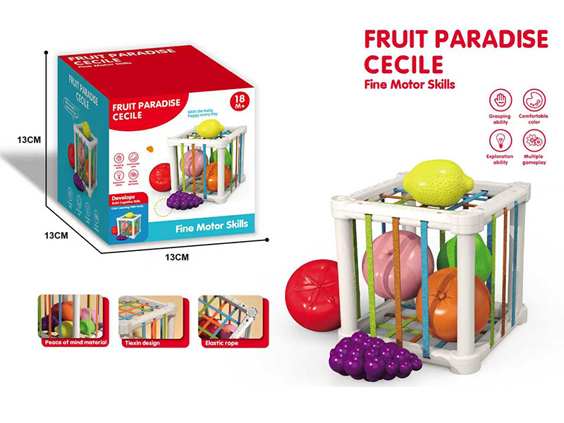Fruit Paradise Crcile Fine Motor Skills Toy