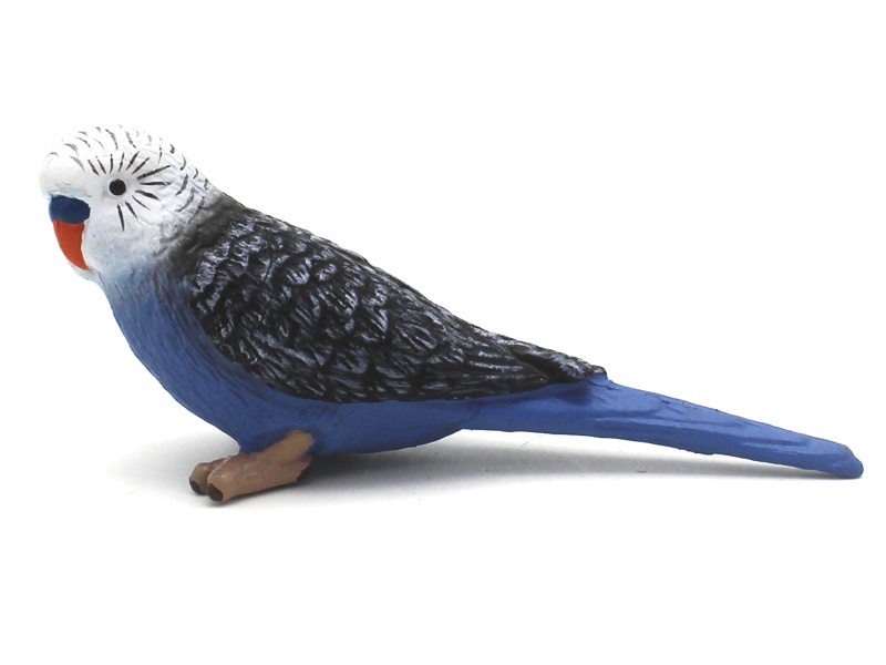 Parrot (Blue