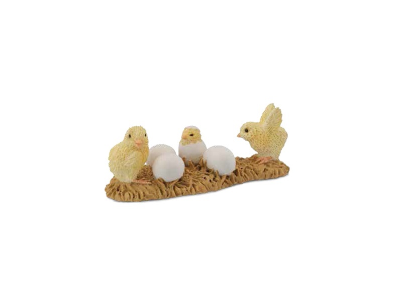 Chicks Hatch Eggs