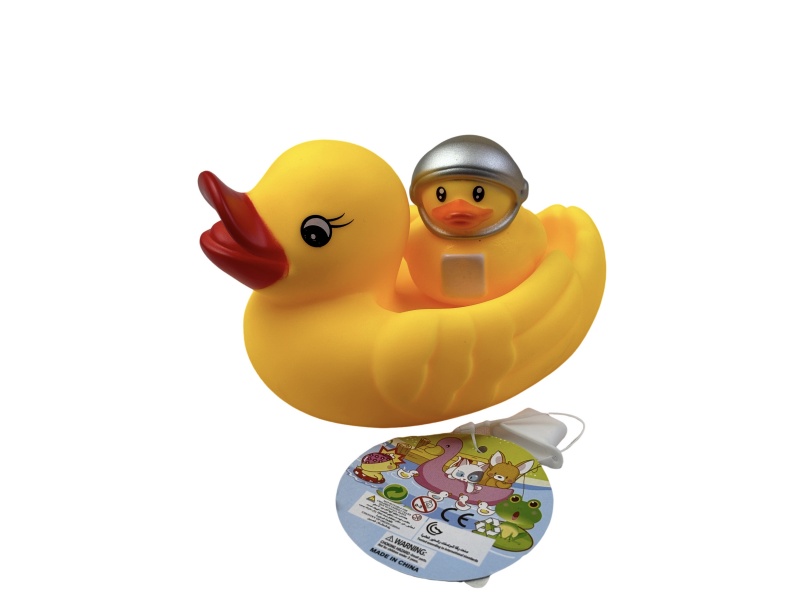 Medium-Sized Female Ducks Are Paired With Engineer Ducks