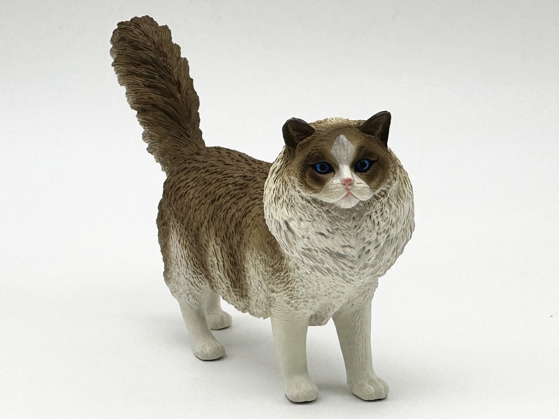 Ragdoll Model