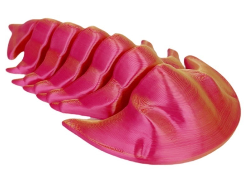 Trilobite 10Cm