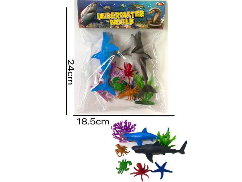 Marine Animals