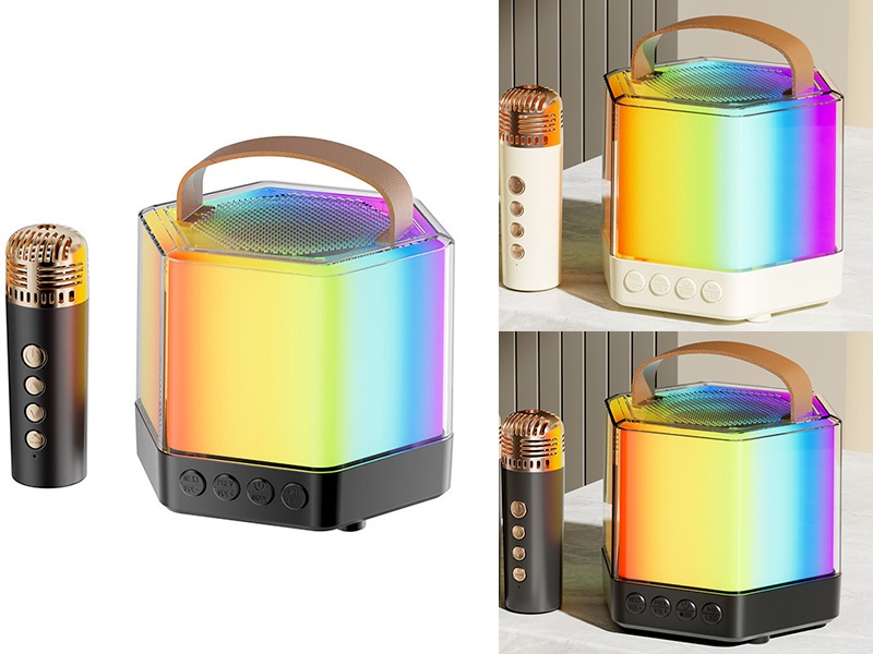 Wireless Bluetooth Karaoke Speaker((Single Microphone))