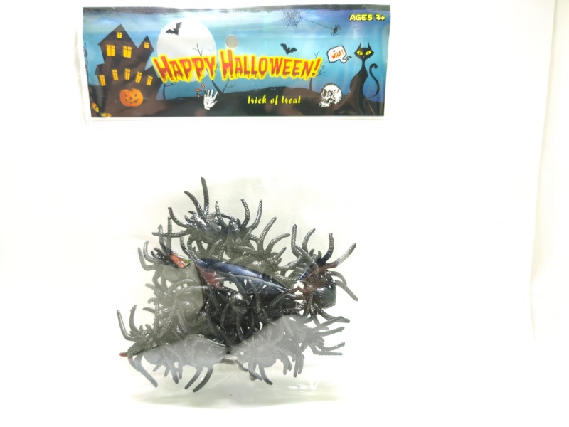Halloween Spider, 24