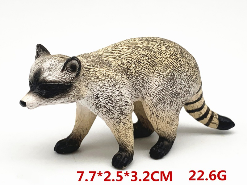 Raccoon