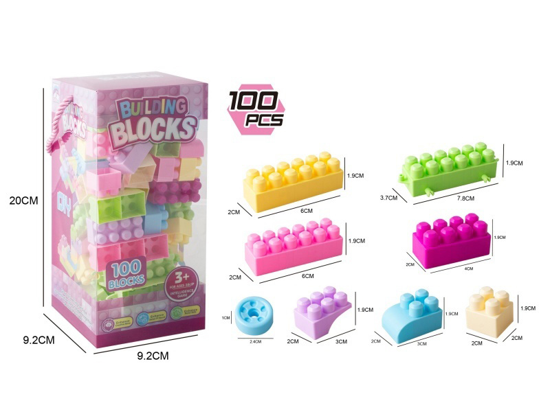 100 Building Blocks