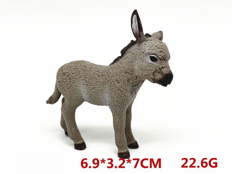 Donkey Cub