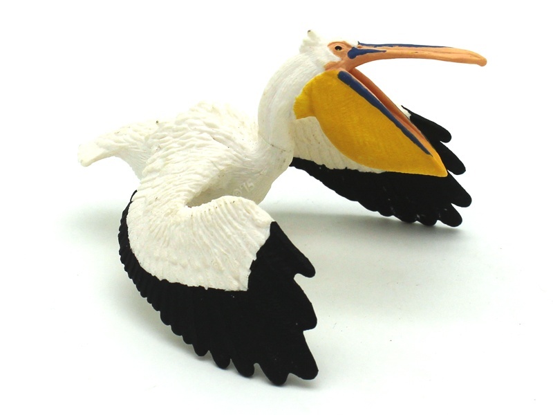 New Pelicans